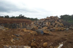 Ảnh minh họa. (Ảnh: Hưng Thịnh/TTXVN)