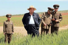 Hình ảnh mới làm dấy lên nghi vấn về sức khỏe ông Kim Jong-Un