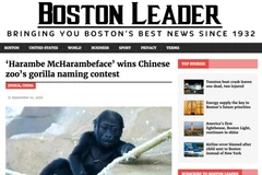 Tin tức giả mạo từ The Leader Boston. (Nguồn: wan-ifra.org)
