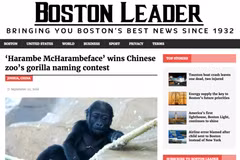 Tin tức giả mạo từ The Leader Boston. (Nguồn: wan-ifra.org)