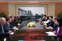 Phó Thủ tướng Vũ Đức Đam tiếp ông Gunther Platter, Thủ hiến bang Tyrol, Cộng hòa Áo đang thăm và làm việc tại Việt Nam. (Ảnh: Văn Điệp/TTXVN)