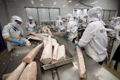 Ảnh minh họa. (Ảnh: Vũ Sinh/TTXVN)