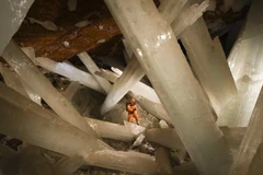 Các nhà khoa học đã khám phá ra sự sống 50.000 năm tuổi. (Nguồn: cgtn.com)