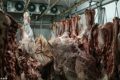Ngành nông nghiệp Brazil lâm vào cuộc cuộc khủng hoảng thịt bẩn. (Nguồn: AFP) 