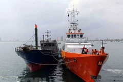 (Ảnh minh họa: Trần Lê Lâm/TTXVN)