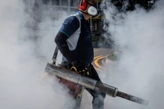 Phun thuốc phòng chống dịch bệnh ở Singapore. (Nguồn: Getty Images)