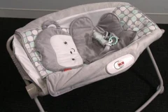 Nôi rung Rock 'n Play của Fisher-Price. (Nguồn: Dailymotion)
