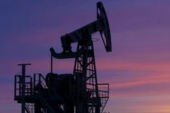 Ảnh minh họa. (Nguồn: The National)