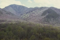 Nơi phát hiện máy bay bị tai nạn. (Nguồn: AP)