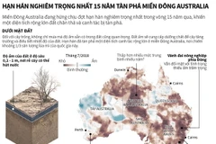 Hạn hán nghiêm trọng nhất 15 năm tàn phá miền Đông Australia