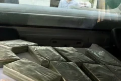 Ảnh minh họa. (Ảnh TTXVN phát)