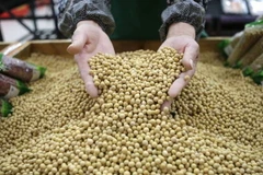 Sản phẩm đậu nành của Mỹ. (Nguồn: Bloomberg)