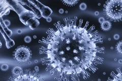 [Video] Nước Anh kỳ vọng có thể chữa khỏi căn bệnh HIV