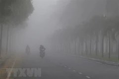 (Ảnh minh họa: Duy Khương/TTXVN)