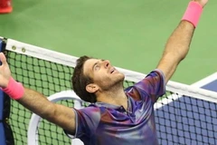 Del Potro thẳng tiến bán kết US Open sau khi đánh bại Federer. (Nguồn: Reuters)