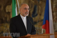 Ông Ali Akbar Salehi. (Nguồn: AFP/TTXVN)