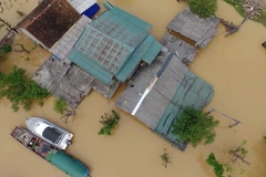 Nước lũ dâng cao ngập trắng và cô lập nhiều xã ở huyện Hưng Nguyên, Nghệ An. (Ảnh: Nguyễn Sách/TTXVN phát)