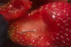 Hình ảnh phát hiện kim khâu có trong dâu tây ở New Zealand. (Nguồn: stuff.co.nz)