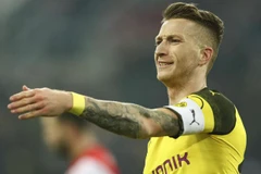 Dortmund đang từng ngay từng giờ chờ Reus trở lại. (Nguồn: AP)