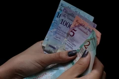 Kiểm tiền bolivar của Venezuela tại Caracas ngày 20/8. (Ảnh: THX/TTXVN)