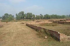 Ảnh minh họa. (Nguồn: Internet)