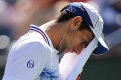 Djokovic mướt mồ hôi vì Pablo Andujar. (Nguồn: Getty Images)
