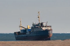 Tàu vận tải "Amurskoye". (Nguồn: maritime bulletin)