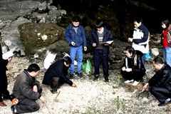 Đoàn khảo sát phát hiện nhiều dấu tích của người Việt cổ tại hang Ốc, xóm Phố, xã Bình Long (Võ Nhai). (Nguồn: Báo Thái Nguyên)