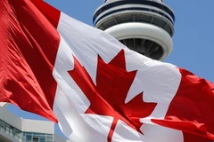 Ảnh minh họa. (Nguồn: uol.com.br)