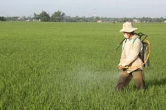 Ảnh chỉ mang tính minh họa. (Nguồn: Internet)