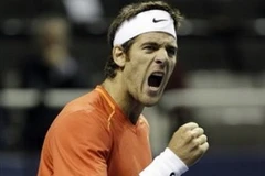 Tay vợt Juan Martin del Potro. (Nguồn: AP)