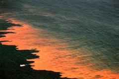 Ảnh minh họa. (Nguồn: terradaily.com)