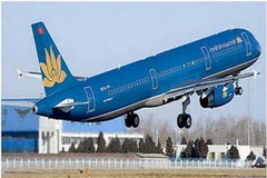 Ảnh minh họa. (Nguồn: Internet)