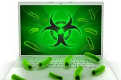 Ảnh minh họa. (Nguồn: Internet)