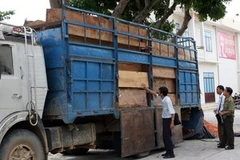 Một xe vận chuyển gỗ lậu bị bắt giữ. (Ảnh minh họa: Trần Lê Lâm/TTXVN)