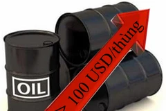 Ảnh minh họa. (Nguồn: Internet)