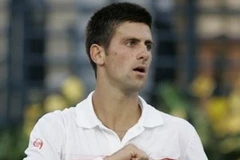 Novak Djokovic đang thể hiện phong độ thi đấu khá ấn tượng. (Ảnh: AP)