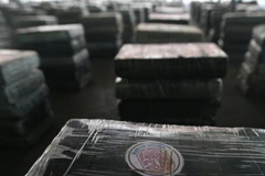 Cảnh sát Colombia thu giữ gần 1 tấn cocaine cách đây 10 ngày. (Nguồn: Reuters)