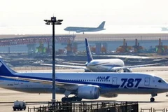 Boeing 787 Dreamliner. (Nguồn: AFP)