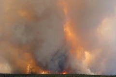Cháy rừng ở bang Colorado. (Nguồn: AP)
