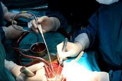 Ảnh minh họa. (Ảnh: Dương Ngọc/TTXVN)