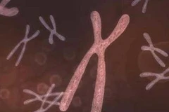 Ung thư di căn. (Ảnh minh họa: Internet)