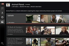 (Nguồn: Guardian.co.uk)