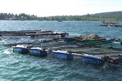 Nuôi trồng hải sản ở Kiên Giang. (Ảnh minh họa: Internet)