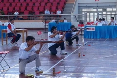 Các vận động viên thực hiện bài thi. (Ảnh: Đức Hiếu/Vietnam+)