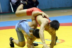 (Ảnh: Phạm Kiên/TTXVN)