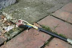 Ảnh minh họa. (Nguồn: Internet)