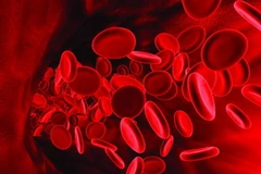 Ảnh minh họa. (Nguồn: AFP)