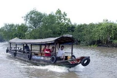Du khách quốc tế đi du lịch bằng thuyền thăm sông Tiền, sông Hậu và các miệt vườn. (Ảnh: Anh Tuấn/TTXVN)