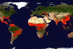 Bản đồ các đám cháy rừng và đốt rác thải nông nghiệp trên toàn cầu. (Nguồn: Global Fire Maps/NASA) 